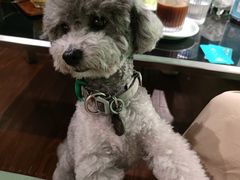 -默迹咖啡馆