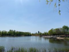 -永定河休闲森林公园