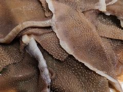 -香满锅老北京羊蝎子火锅·家常菜(新街口店)