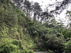 -白云山风景名胜区