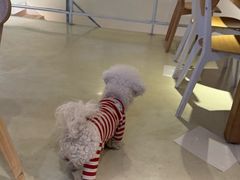 -小意思咖啡店(草桥店)