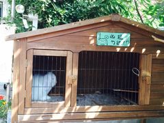 iphone_upload_pic-海边的猫和咖啡馆