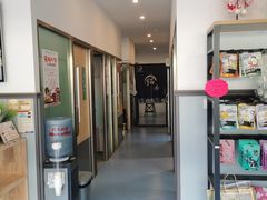 -伟伟宠物医院·瑞派猫友好医院·猫科(光谷店)