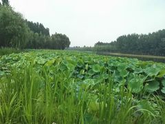 -永定河休闲森林公园