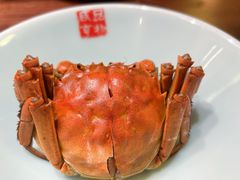 -金陵家宴·金陵春·南京菜(夫子庙店)