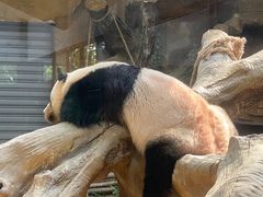 -常州淹城野生动物世界