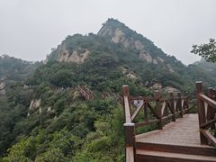 -大岭沟猕猴桃谷风景区