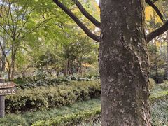 -汇龙潭