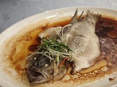 -古南都·老广东酒楼(龙江店)