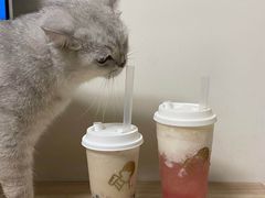 -喜茶(广州佳兆业广场店)