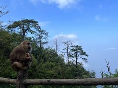 -峨眉山风景名胜区
