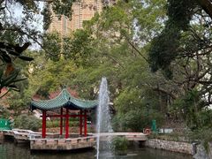 -九龙公园
