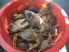 -阿毛饭店(和义路店)