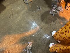 -仙本那小型鱼市