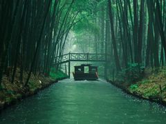 -同里国家湿地公园
