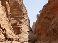 -天山神秘大峡谷