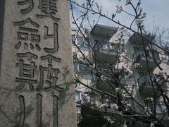 -难波八坂神社