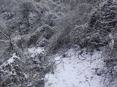 -秦岭风景区