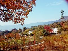 -塔川景区