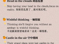 -引领英语·成人口语·雅思托福