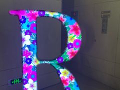 -逸廊大堂吧(三亚海棠湾万丽度假酒店)