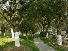 -花溪公园