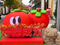 -王府井奥莱临潼小镇(临潼店)