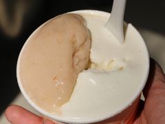 -Dip in Gelato(富民路店)