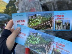 -大岭沟猕猴桃谷风景区