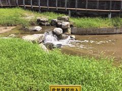 -白水寺森林公园