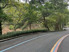 -红花湖景区