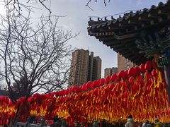 -护国法轮寺