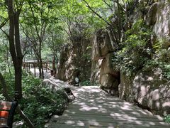 -大岭沟猕猴桃谷风景区