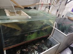 -大理.老字号渝记酸萝卜乌鱼(古城总店)