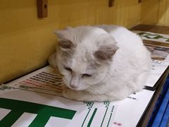 -正南齐北·老街糯米团(洪崖洞店)