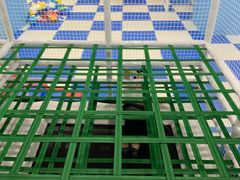 -诚毅科技探索中心