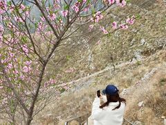 -辉县龙溪温泉养生旅游度假村