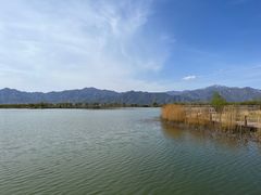 -野鸭湖国家湿地公园