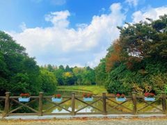 -上海海湾国家森林公园