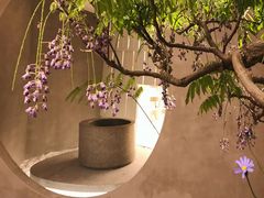 -二酉书店TOYOU BOOKS