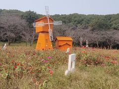 -苏州上方山国家森林公园
