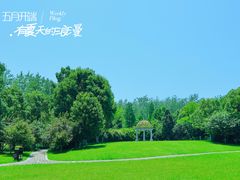 -合肥滨湖国家森林公园