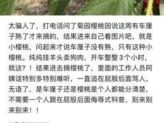 -上海菊园樱桃研究所