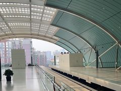 -龙阳路磁悬浮列车总站-停车场