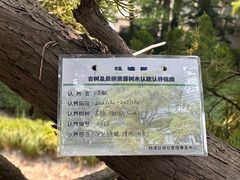 -叶家花园