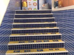 -戊辰亲子游泳俱乐部