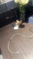 -罗亚帝造型