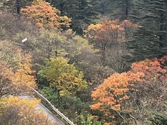 -峨眉山风景名胜区