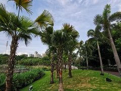 -映月湖公园