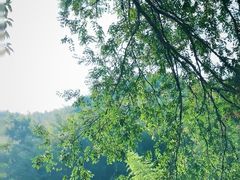 -MOJ coffee(瓯海泽雅水碓坑店)